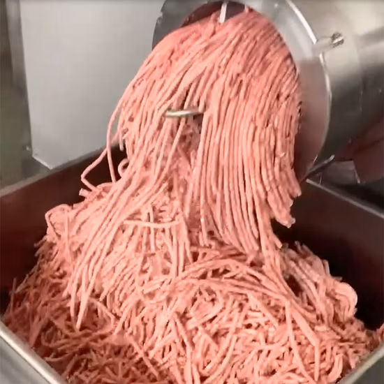 스테인레스 스틸 고기 분쇄기 절단 블레이드